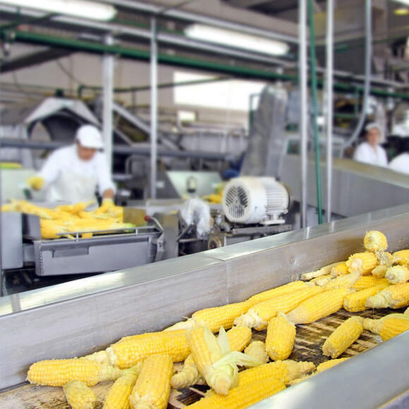Food Processing